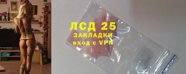 ГАЛЛЮЦИНОГЕННЫЕ ГРИБЫ Баксан