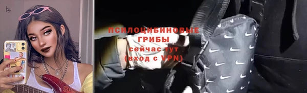 ГАЛЛЮЦИНОГЕННЫЕ ГРИБЫ Баксан