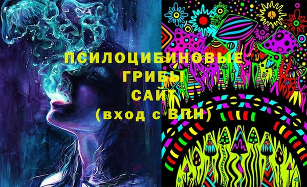ГАЛЛЮЦИНОГЕННЫЕ ГРИБЫ Баксан