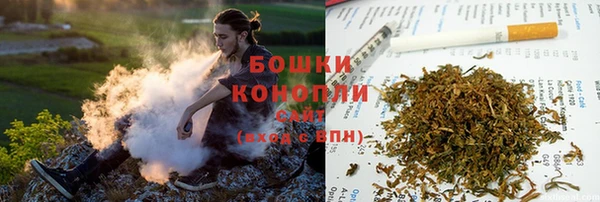 ГАЛЛЮЦИНОГЕННЫЕ ГРИБЫ Баксан