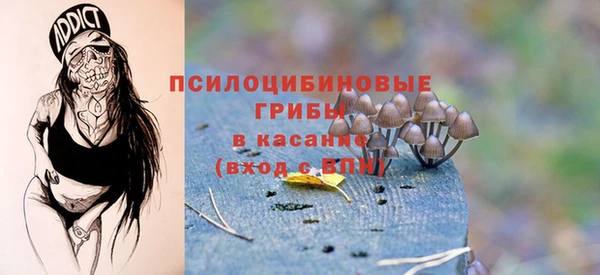 спиды Аркадак